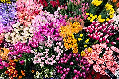 《最后的生还者》Steam版将兼容Steam Deck