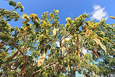 Epic喜加一：《杜尔瑟斯》免费领取